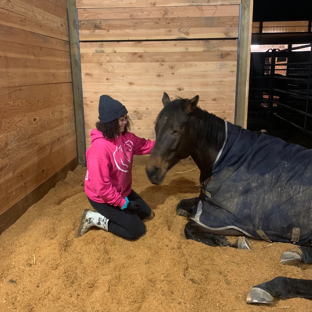 Meet your Posher, Athena